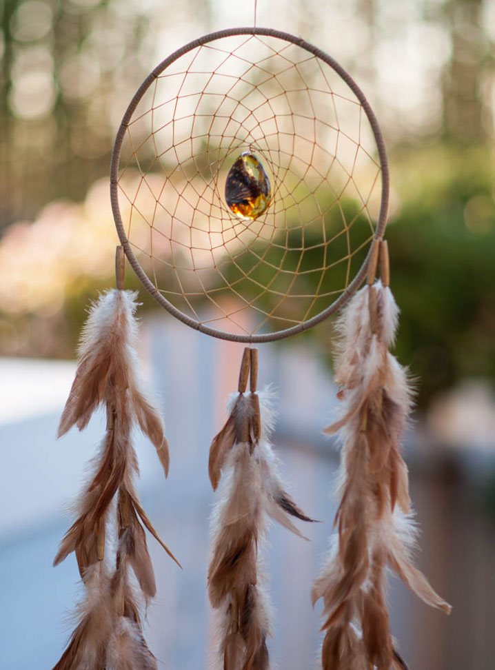 Butterfly Dreamcatcher Transformation - tan