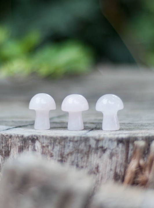 Mini Rose quartz Mushroom
