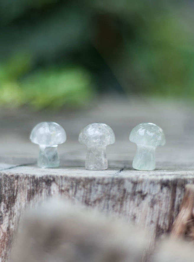 Mini Fluorite Mushroom