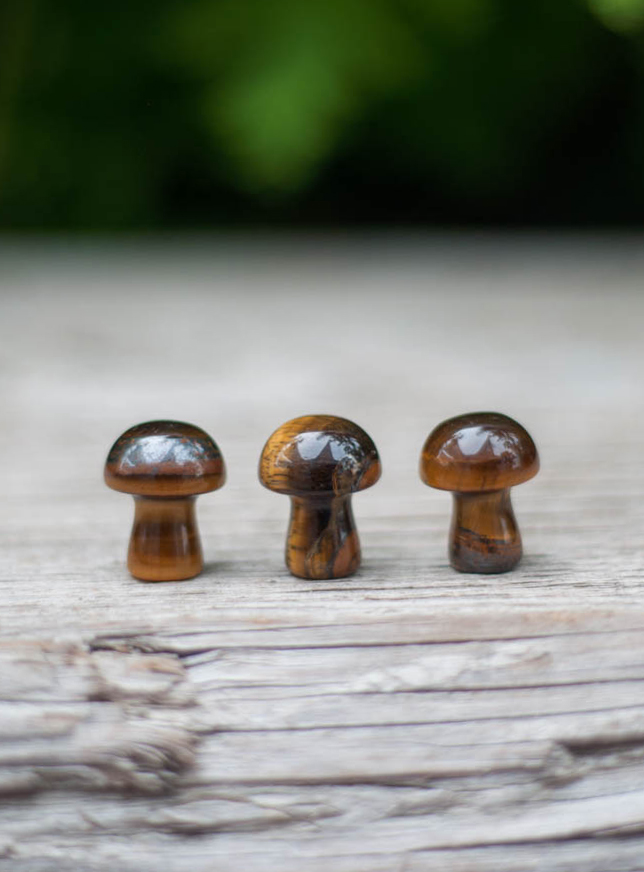 Mini Tiger Eye Mushroom
