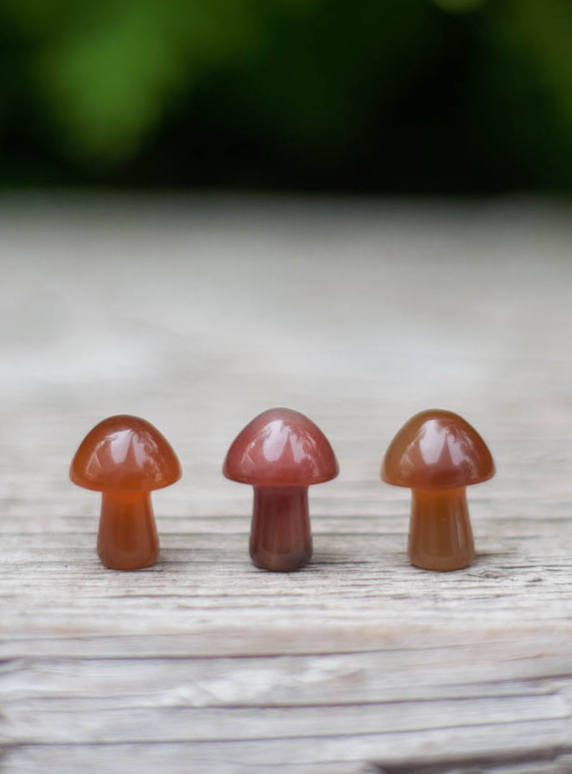 Mini Carnelian Mushrooms
