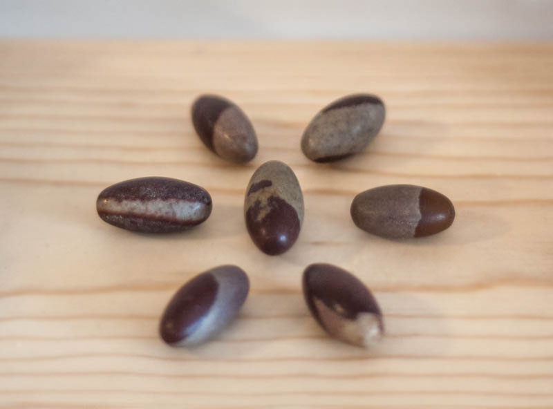 Shiva Lingam