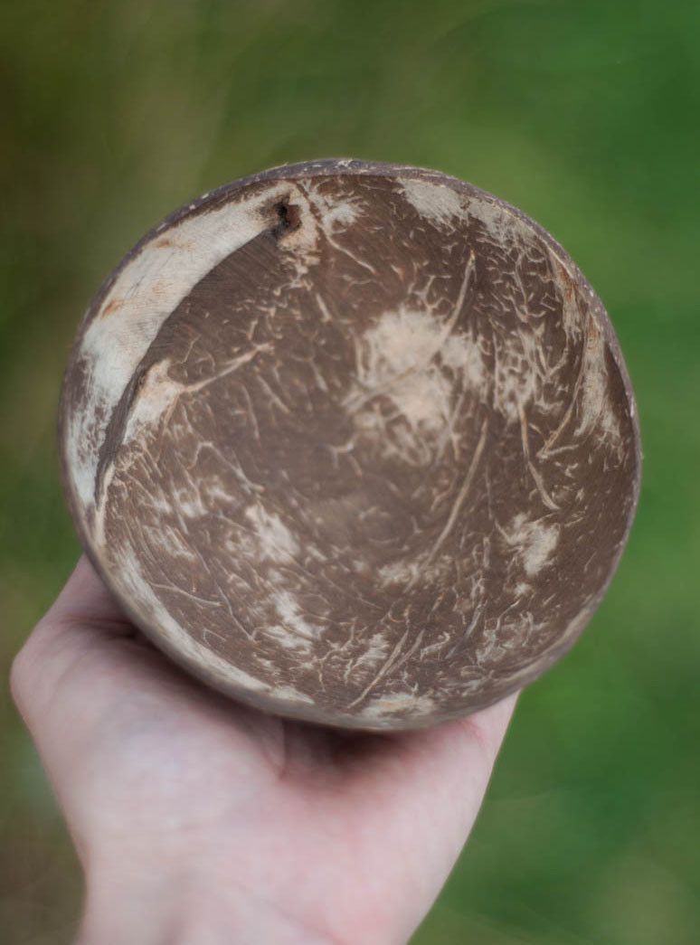  Coconut Shell