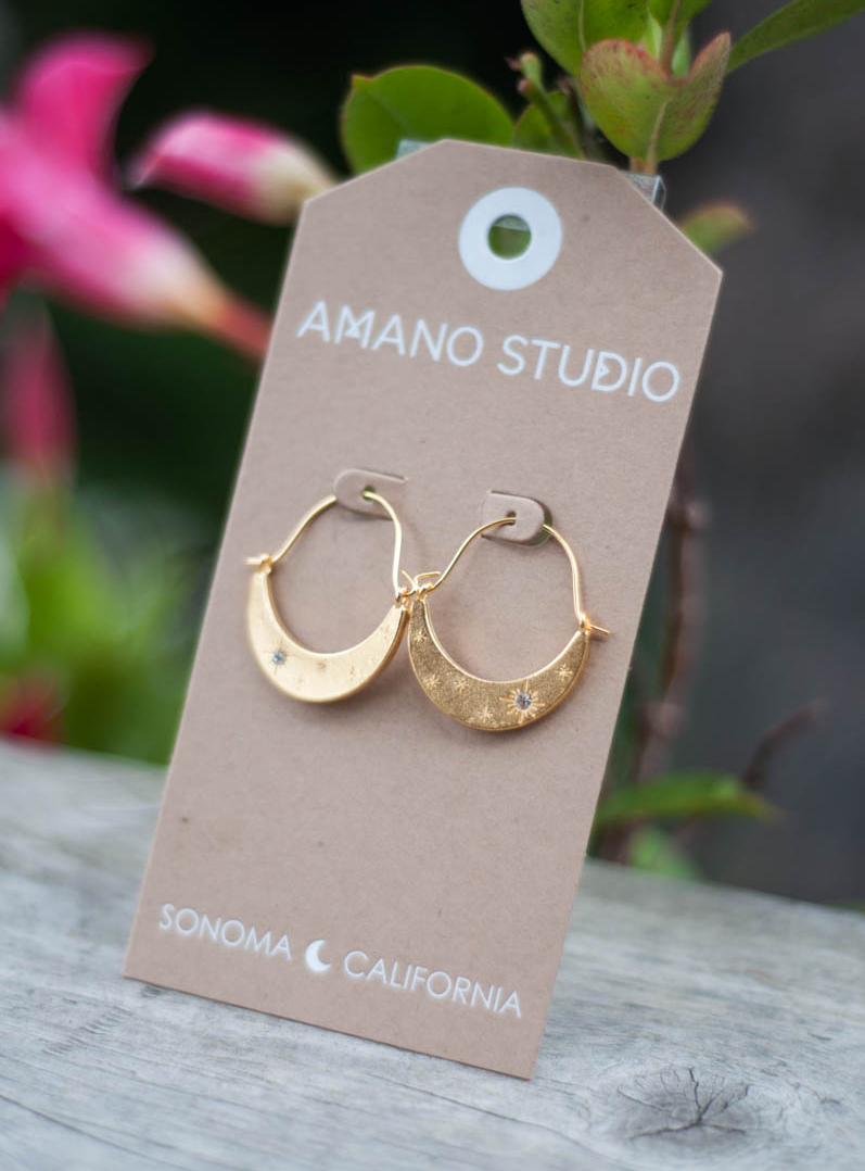 Starlight Moon Earrings