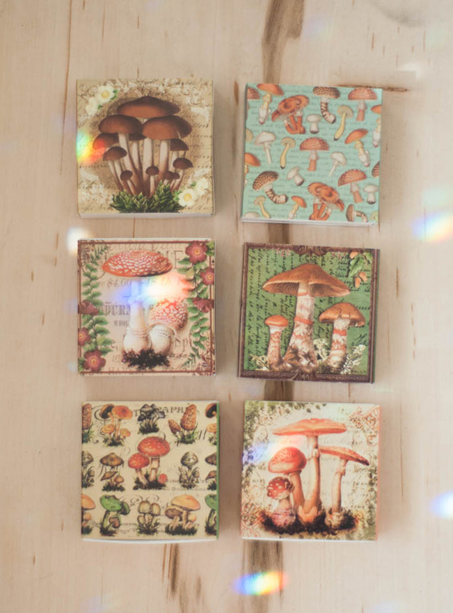 Mushroom Matchbox