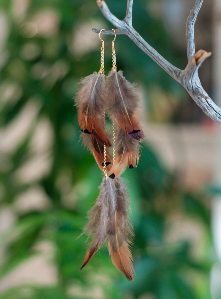 Brown Feather Earrings