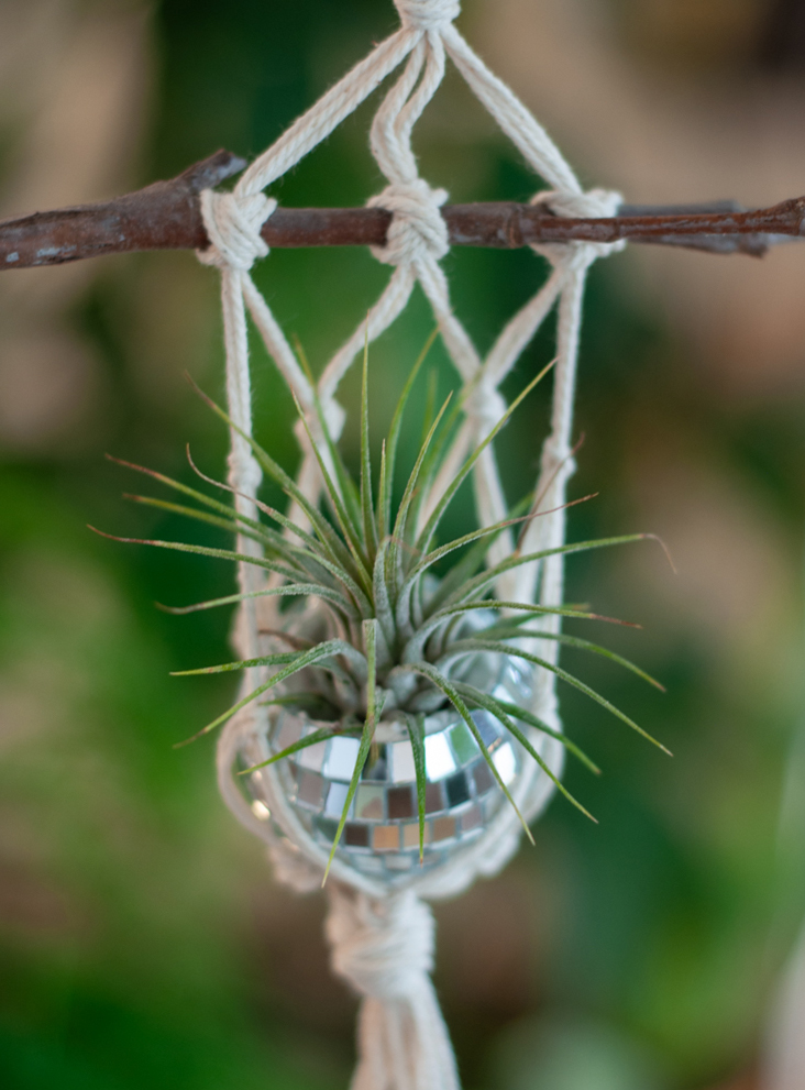 Disco Macrame Airplant Holder - Silver