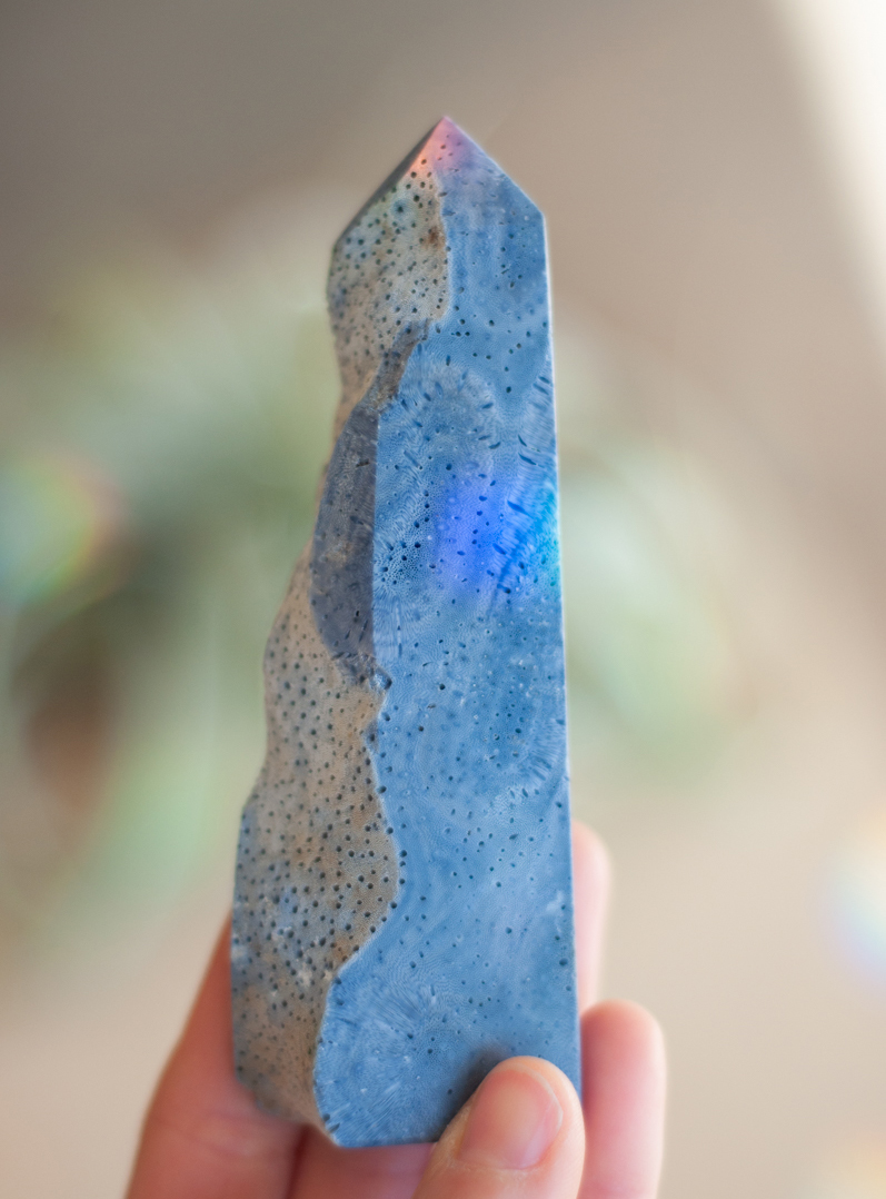 Blue Coral Tower