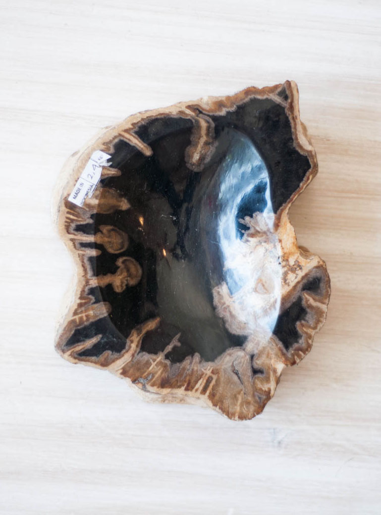 Petrified Wood Bowl - Large