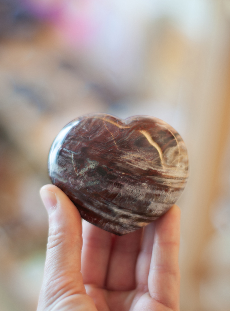 Petrified Wood Heart