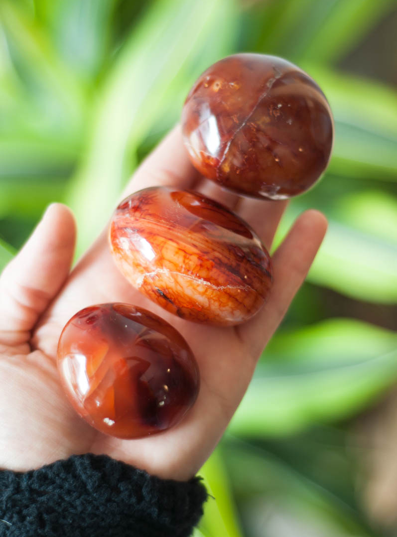 Carnelian Palm Stone medium