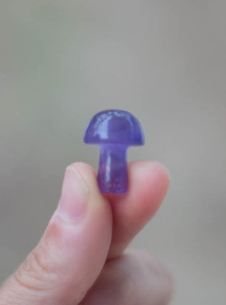 Mini Amethyst Mushroom