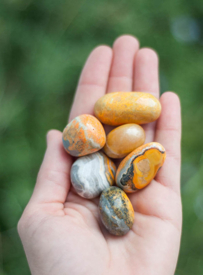 Tumbled Bumblebee Jasper