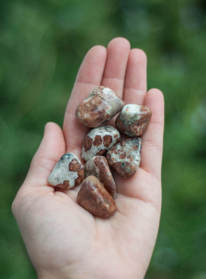 Tumbled Hessonite Garnet in Limestone