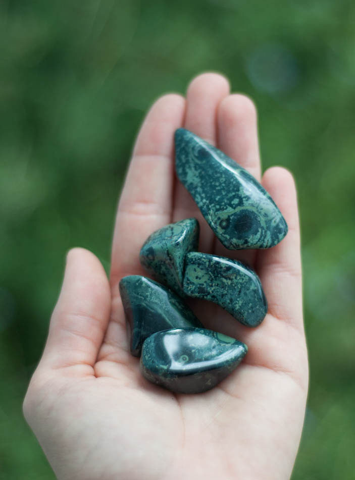 Tumbled Kambaba Jasper
