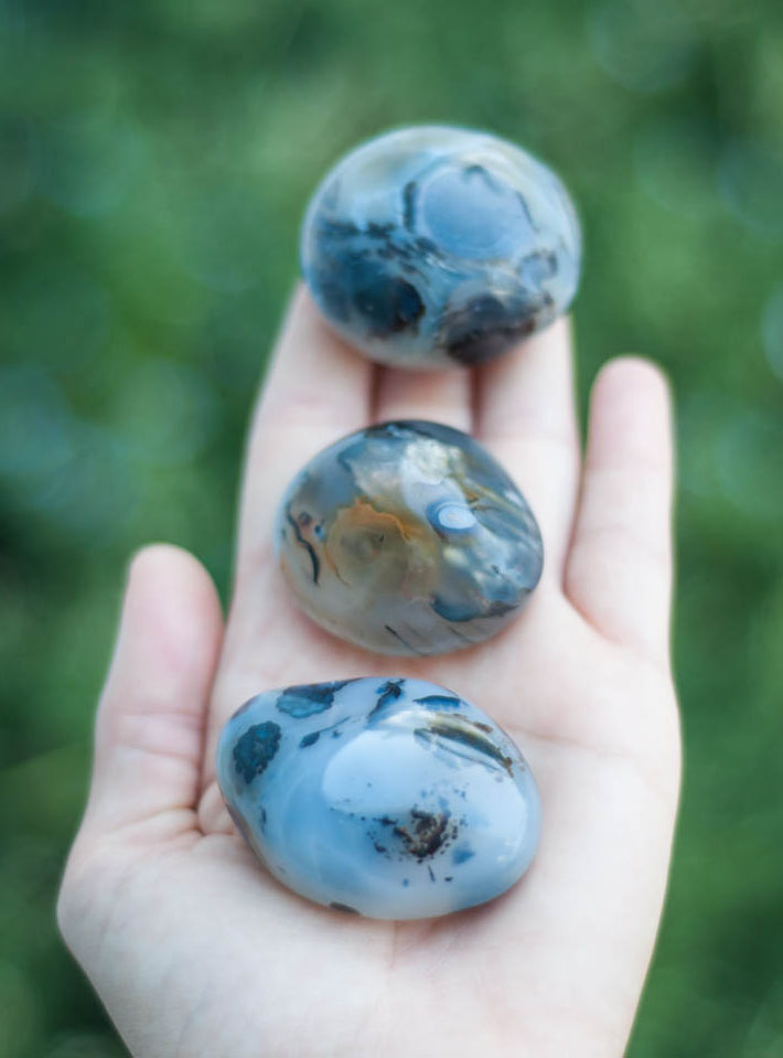 Montana Agate Palm Stone