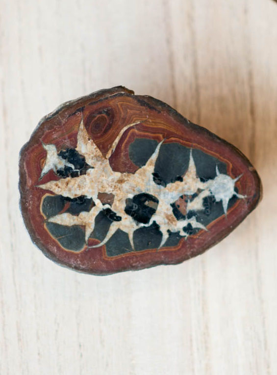 Septarian Nodule