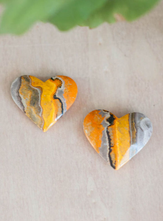 Bumblebee Jasper Heart