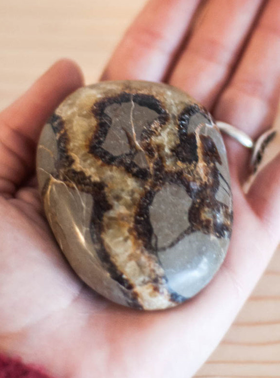 Septarian Yellow Palm Stone Large