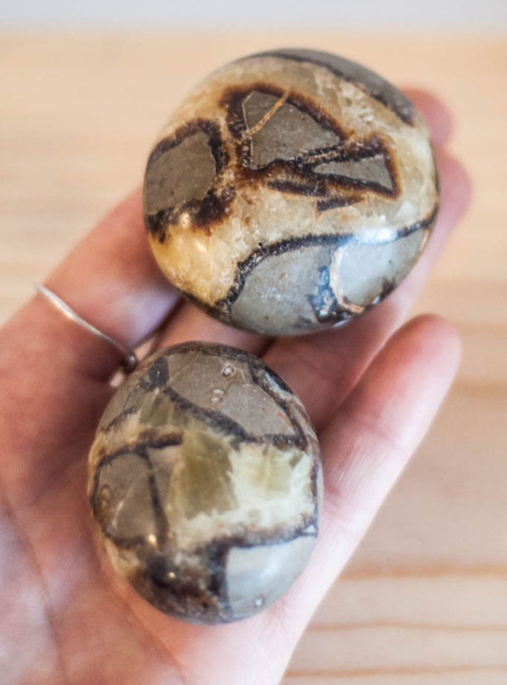 Septarian Yellow Palm Stone Medium