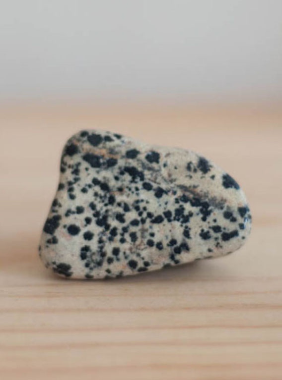 Tumbled Dalmation Stone