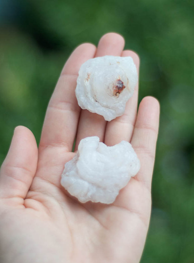 Raw Chalcedony Nodule